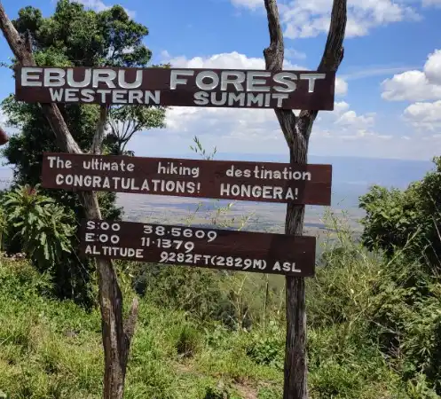 Eburru Forest trail