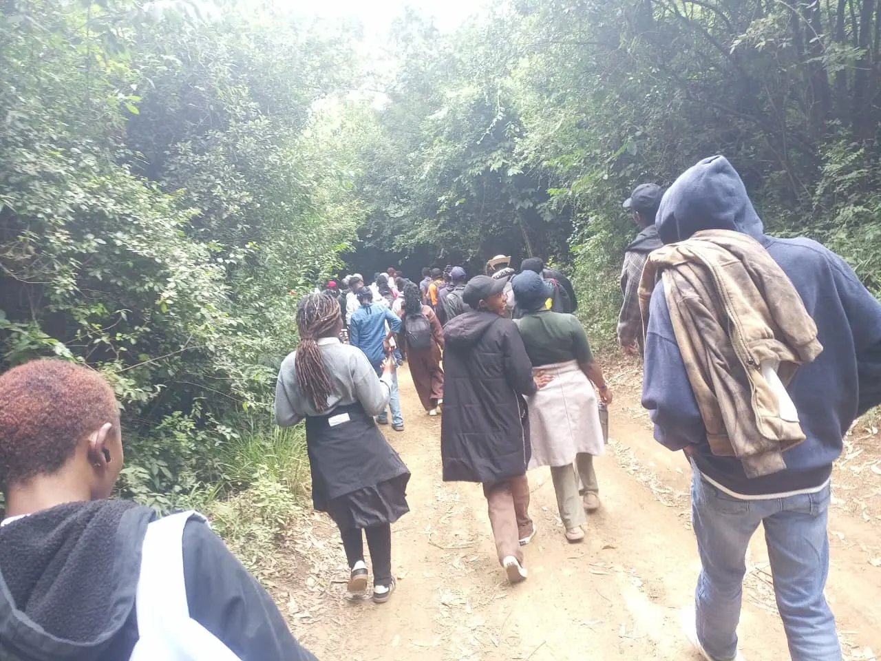 Hikers walking through an indigenous forest in Kenya