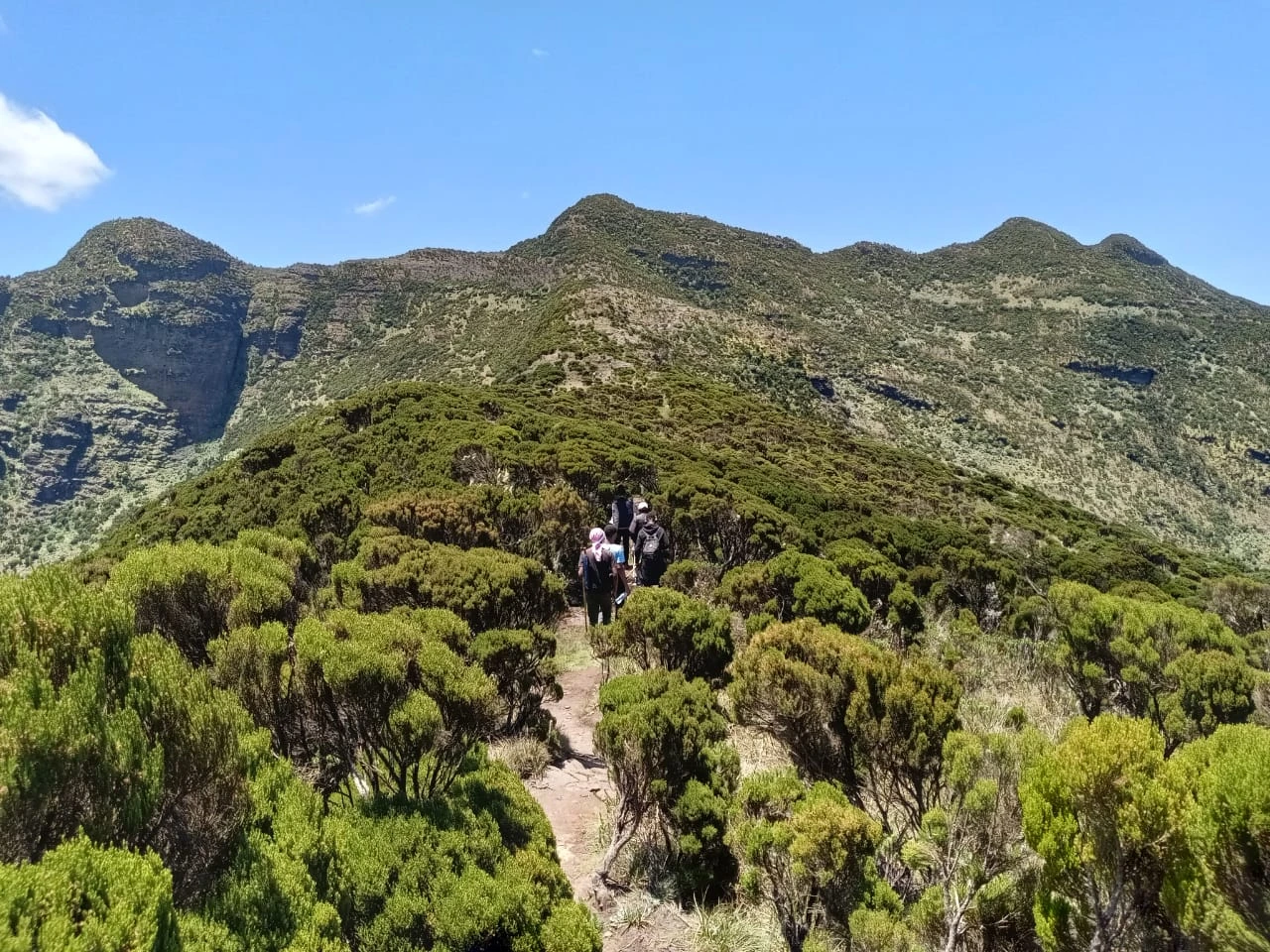 Hikers walking through a Kenyan safari landscape