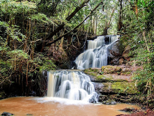 Karura Forest waterfall